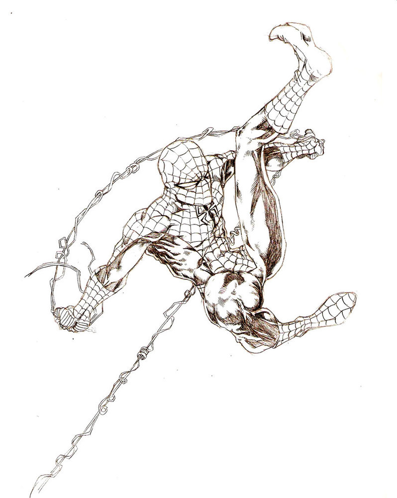 Spiderman Line Drawing