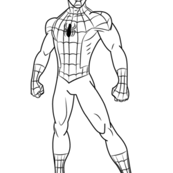 250x250 Spider Man Drawing, Pencil, Sketch, Colorful, Realistic Art Images