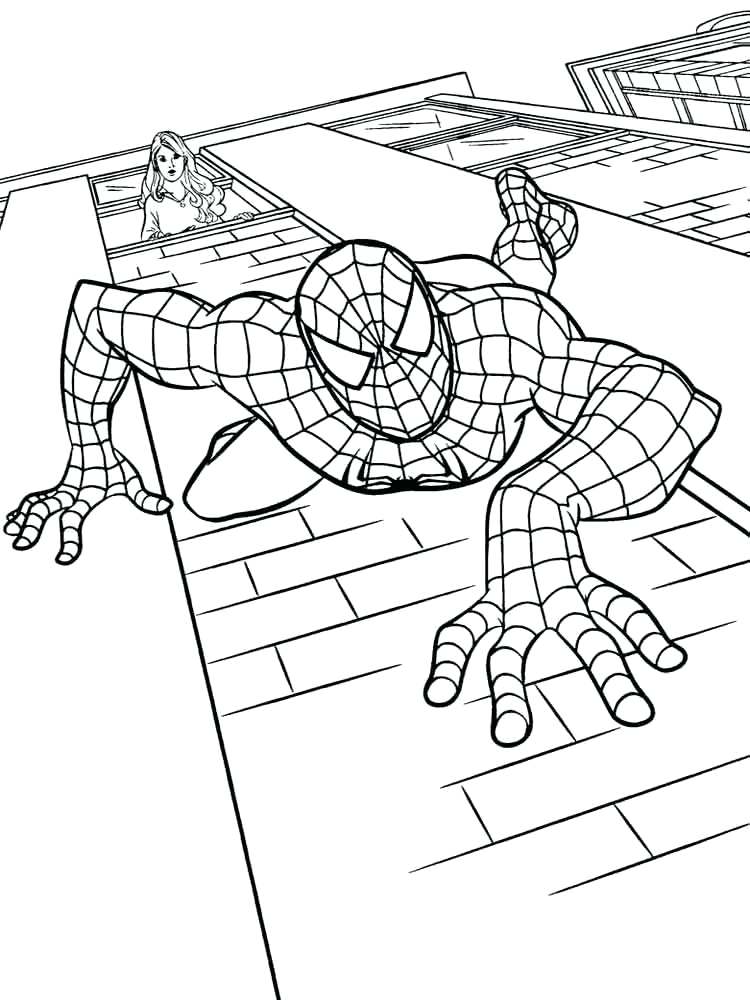 Spiderman Logo Drawing