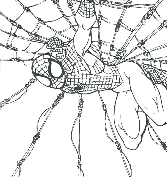 567x600 Coloring Spiderman Top Coloring Pages Printable Amazing Spider Man