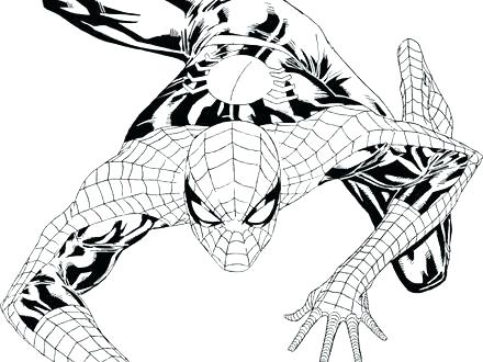 440x330 Spiderman Free Printable Coloring Pages Amazing Spider Man