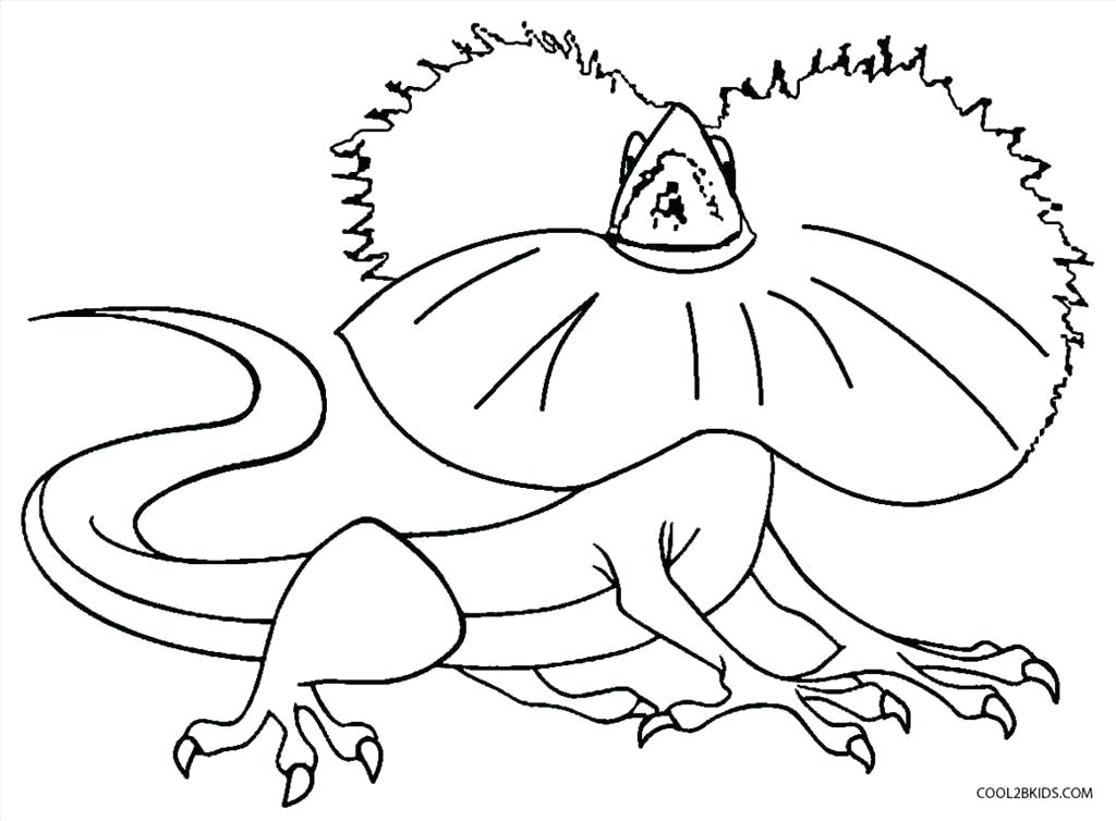 1024x754 Simple Lizard Coloring Pages Free Download Lizards For Kids