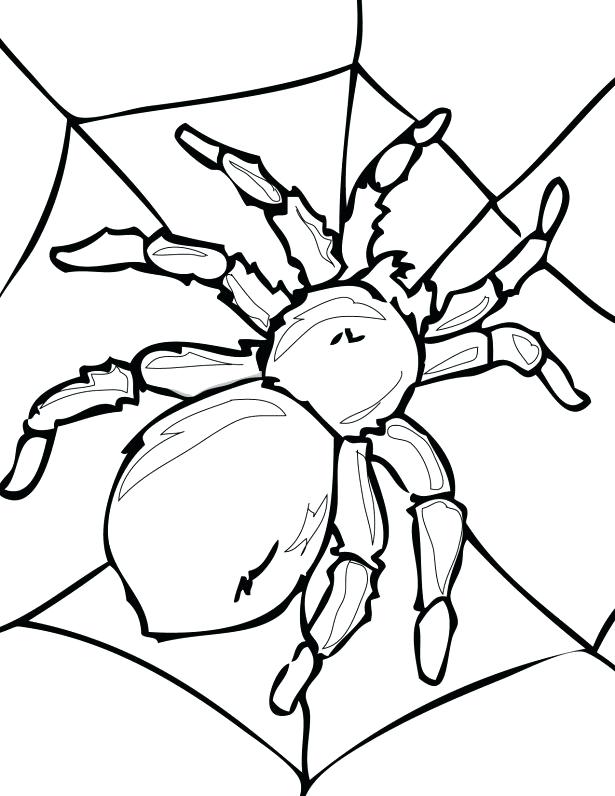 615x796 Free Printable Coloring Pages Spiderman Spider Page Skulls Eat
