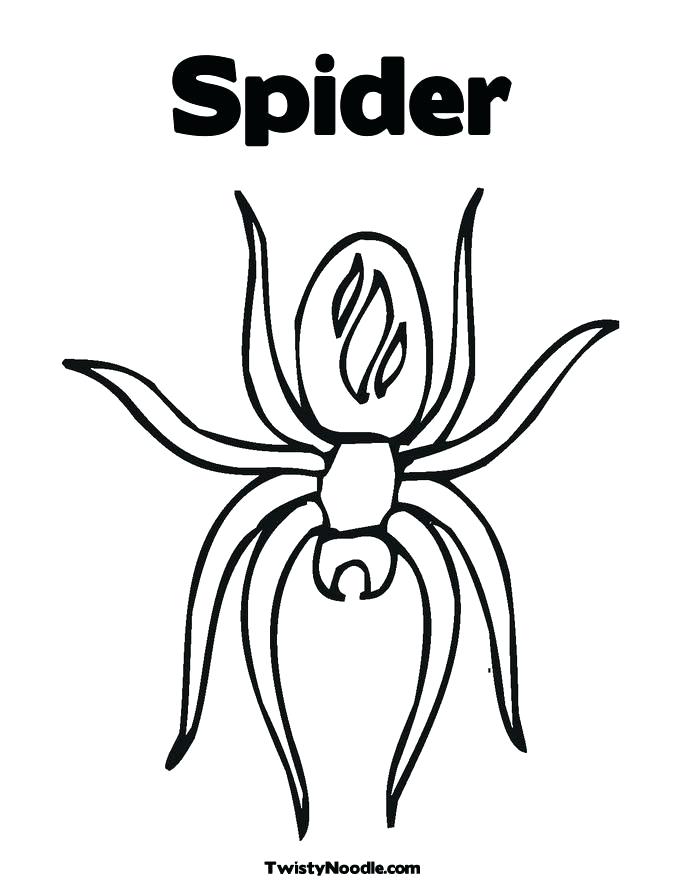 685x886 Spider Coloring Picture Prints Spider Web Coloring Page Joandco.co