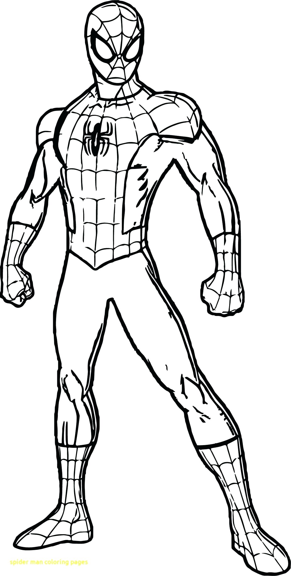 1178x2332 Coloring Coloring Spiderman