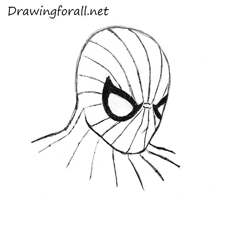 800x800 Download Free Printable Spiderman Pumpkin Stencil Designs Funny