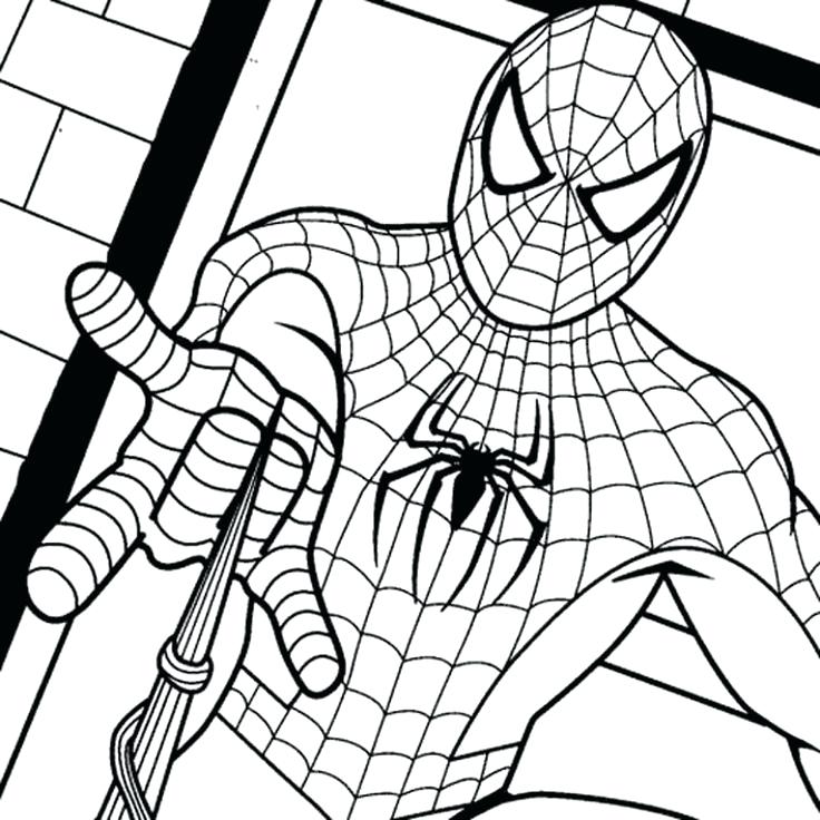 736x736 Coloring Sheets For Children Spiderman