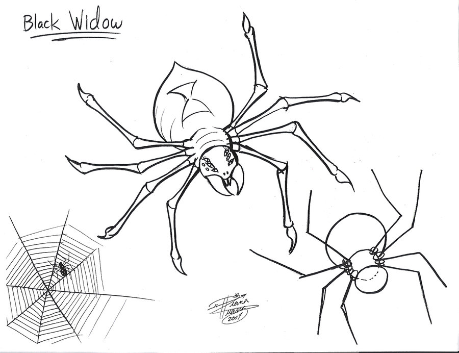 900x692 Draw A Spider By Diana Huang