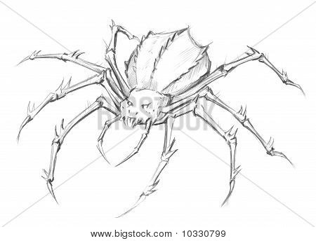 450x344 Drawn Pencil Spider