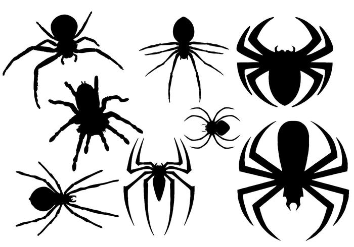 700x490 Free Spider Silhouette Vector