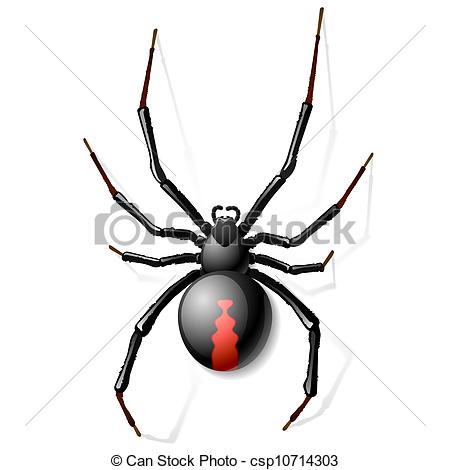 450x470 Black Widow Spider Art Group