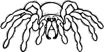 363x182 Learning Ideas