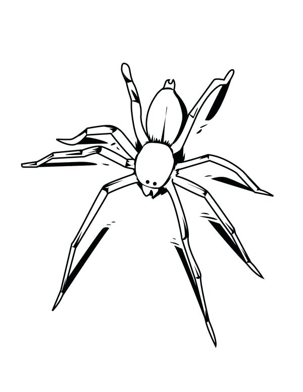600x776 Spider Coloring Page Funny Spider Coloring Page Printable Spider