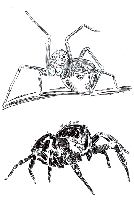 453x700 Citric Comics