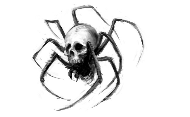 650x400 Collection Of Black Spider Tattoo Sketch