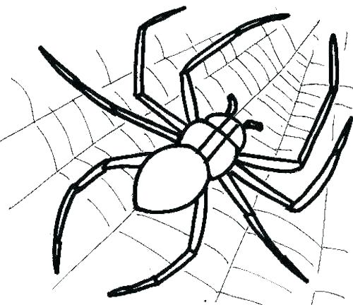 500x432 Spider Coloring Book Plus Spider Web Coloring Spiderman Coloring