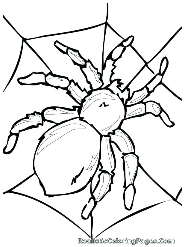618x824 Spider Coloring Page Funny Spider Coloring Page Printable Spider