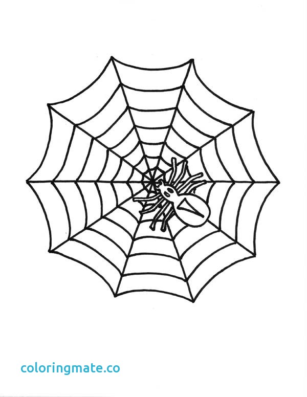 600x776 Spider Web Coloring Page Lovely 48 Best Table Project Reference