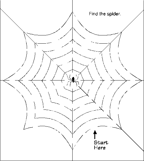490x550 Spider In Web Maze Halloween