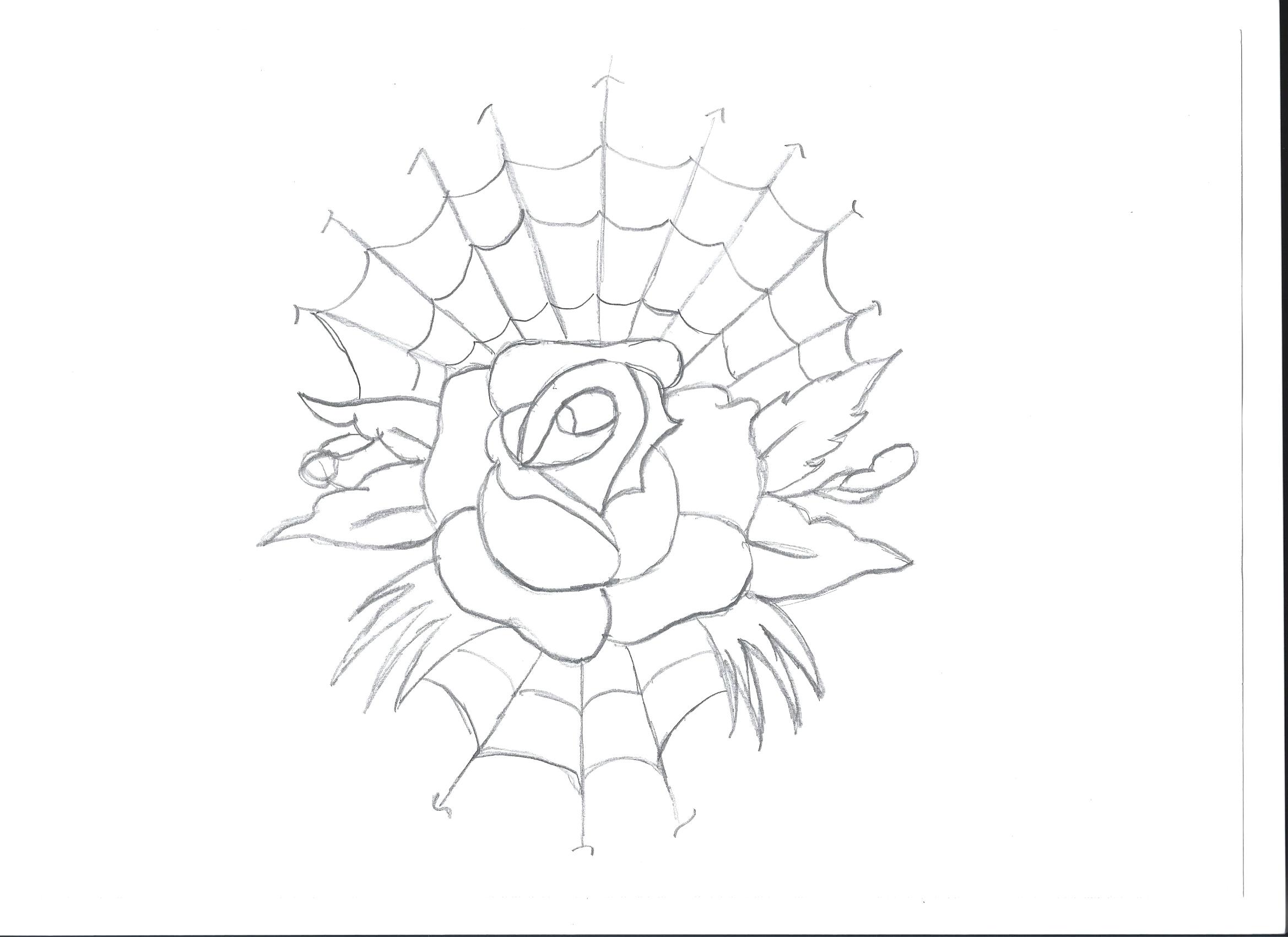 2338x1700 Coloring Spider Web Coloring Sheet Drawing Of Drawn Sketch Pencil