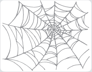 314x247 Spider Web Drawing