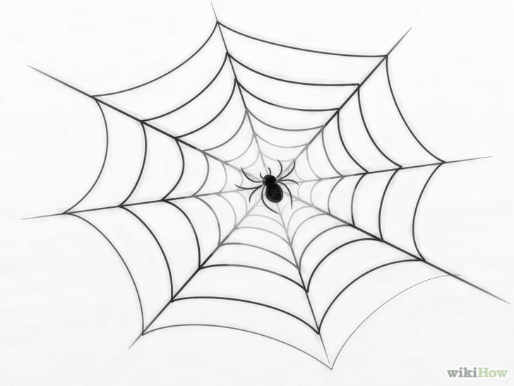 728x546 Draw A Spider Web Spider Webs, Spider And Draw