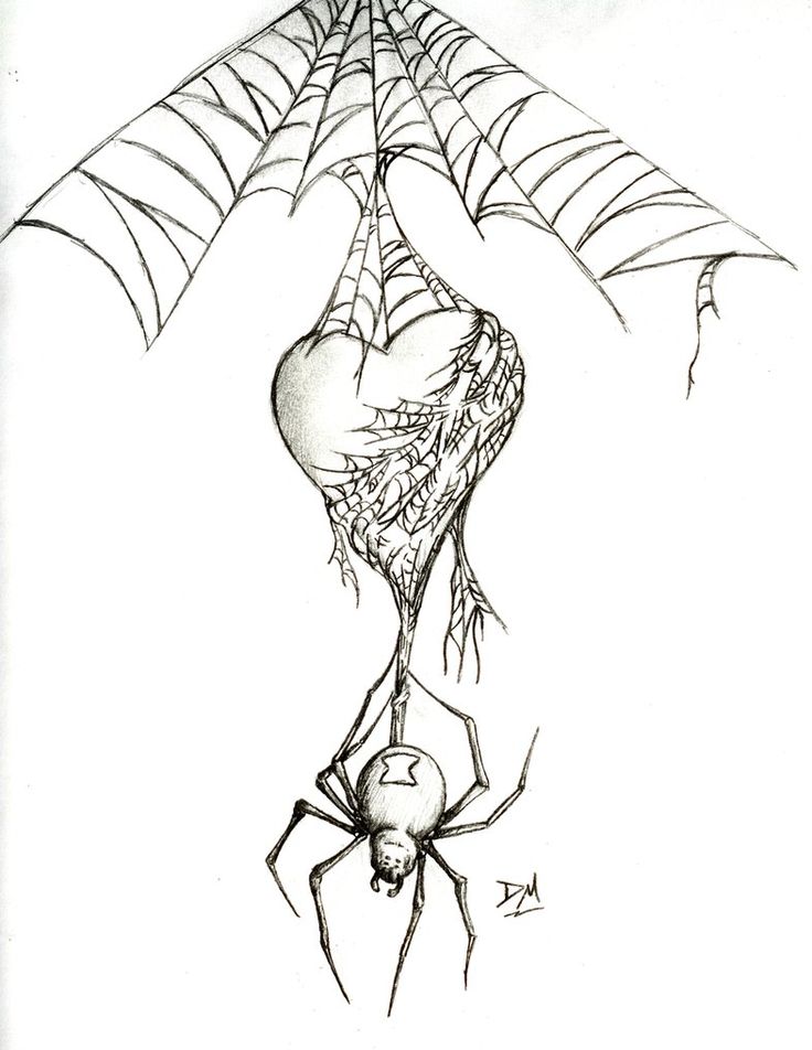 736x952 Drawn Spider Web Badass