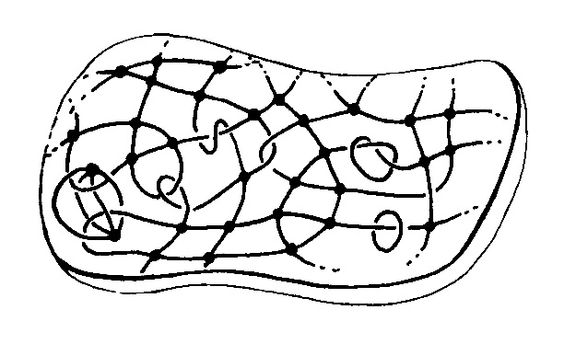 564x344 All Sizes Spin Networks