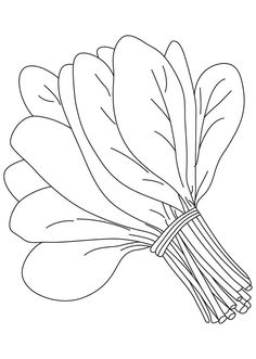236x331 Spinach Clipart Black And White 3 Clipart Station