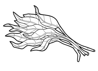 333x240 Water Spinach Photos, Royalty Free Images, Graphics, Vectors