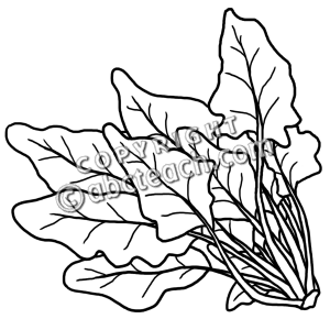 300x300 Clip Art Spinach Bampw Clipart Panda