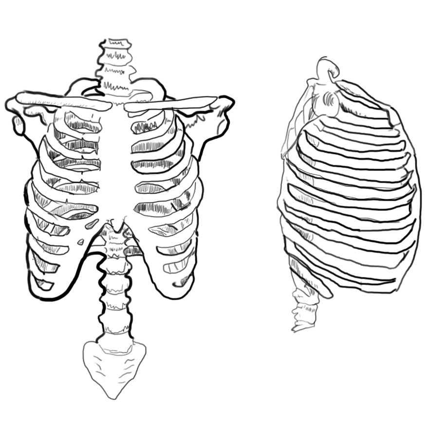 877x911 Figure Drawing Journal Week 4 James Wrobel Art