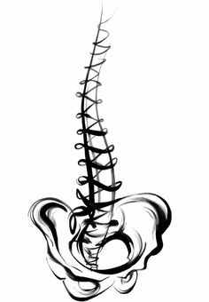 236x340 Grey Spine, Kimberly Rector Line Drawings, Anatomy