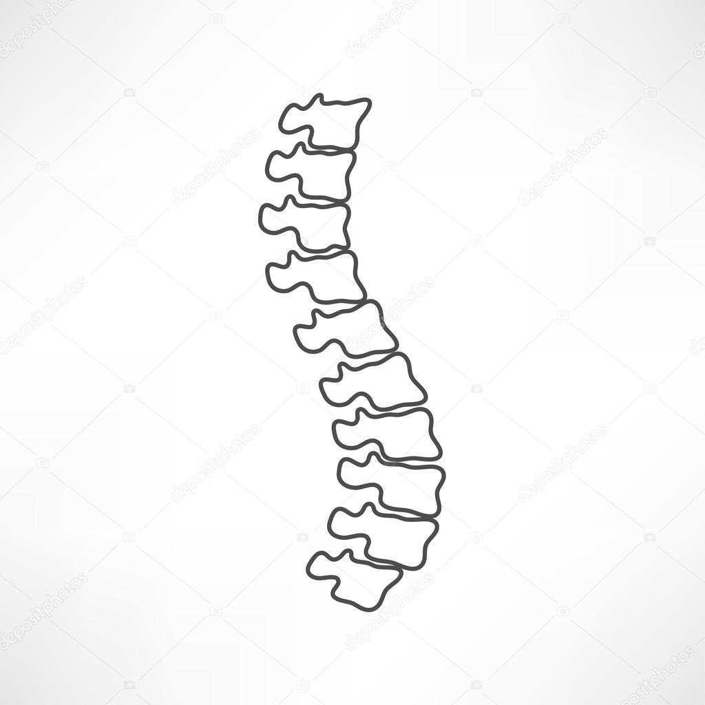 1024x1024 Icon Of Spine Diagnostics, Medicine Stock Vector Slasny1988