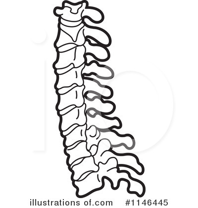 400x420 Spine Clipart