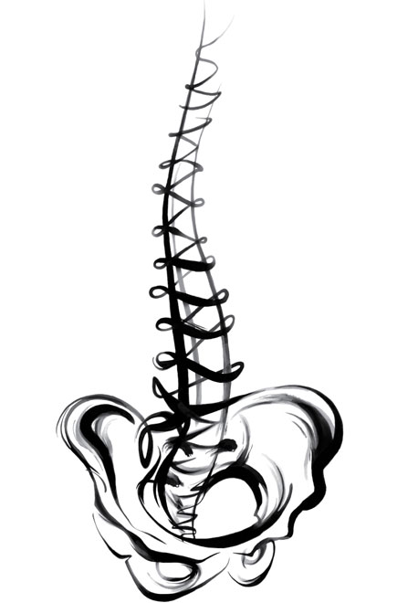 458x660 Spine Drawing