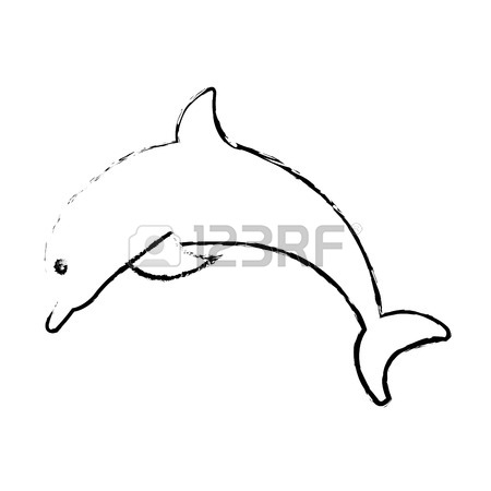 450x450 Cute Dolphins Aquatic Marine Nature Ocean Blue Mammal Sea Water