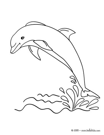 363x470 Winning Dolphins Pictures To Print Dolphin Out Coloring Pages