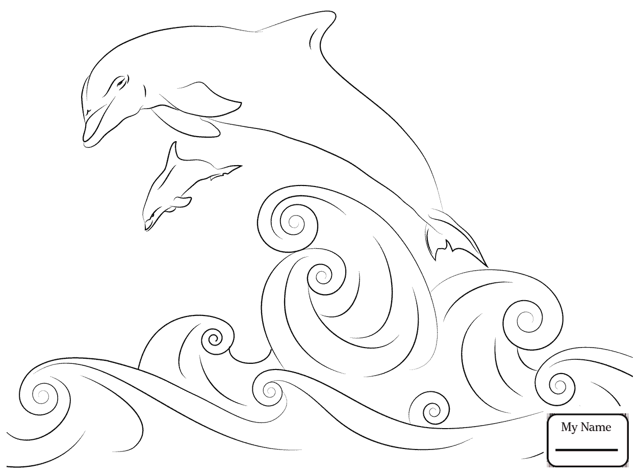 1253x934 Coloring Pages For Kids Baiji River Dolphin Mammals Dolphins