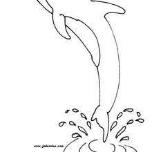 220x220 Children In The Middle Of Dolphins Coloring Pages