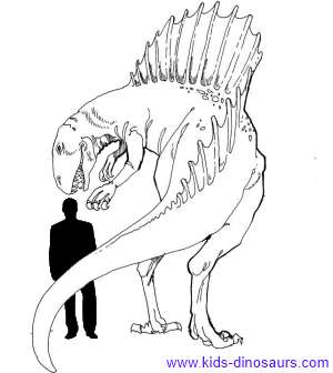 300x336 Spinosaurus Dinosaur Facts For Kids