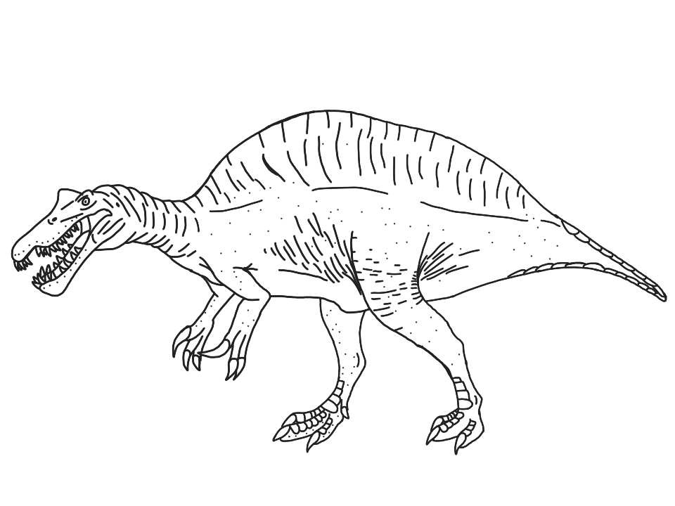 960x720 Spinosaurus Base By Dinobirdman