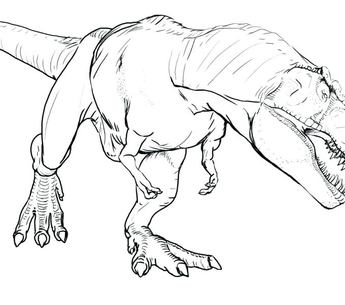 678x600 Spinosaurus Coloring Page