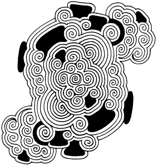 531x563 Spiral Drawing By Andrew Padula