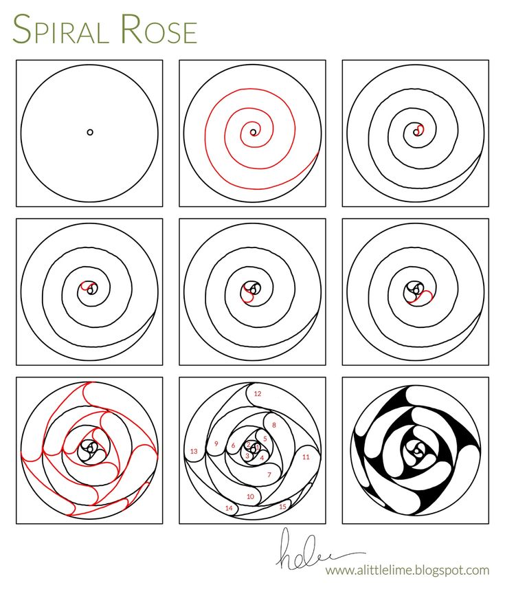 735x864 Best Spiral Drawing Ideas On Types Of Buns