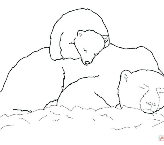678x600 Coloring Pages Bears