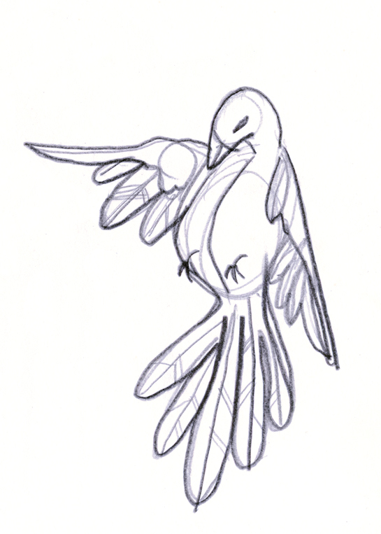 545x763 Dove. Drawing By Consti Like How The Dove Is Posed But Would Love