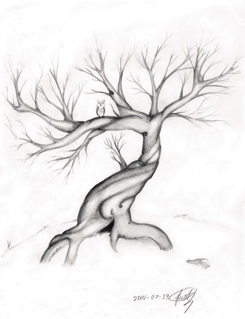 784x1018 Spirit Tree By Heartsoullifepassion