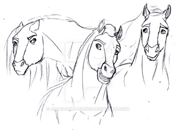 600x443 Spirit Heads Scrap By Arabis Wild Horses