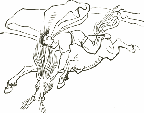 500x392 The Spirit Horse